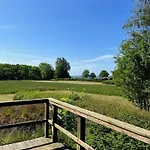 Outdoor Life And Panoramic View Over The Forest