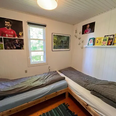 Outdoor Life And Panoramic View Over The Forest