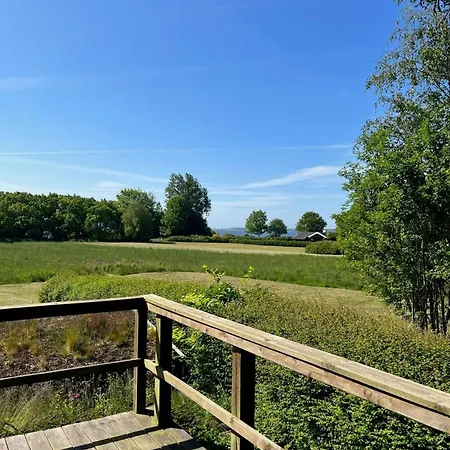 Outdoor Life And Panoramic View Over The Forest