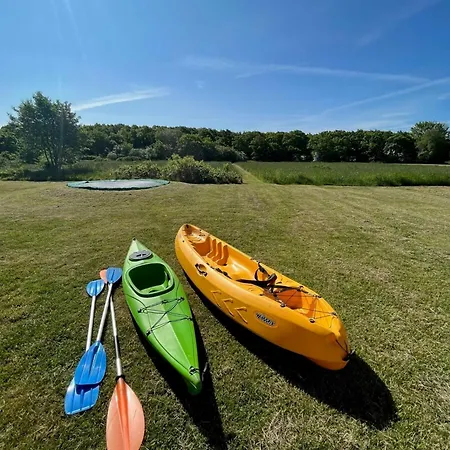 Outdoor Life And Panoramic View Over The Forest