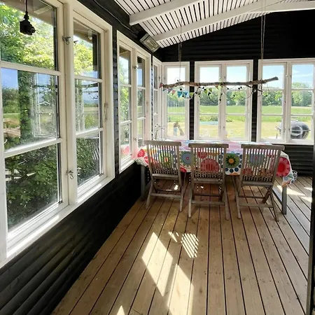 Outdoor Life And Panoramic View Over The Forest *